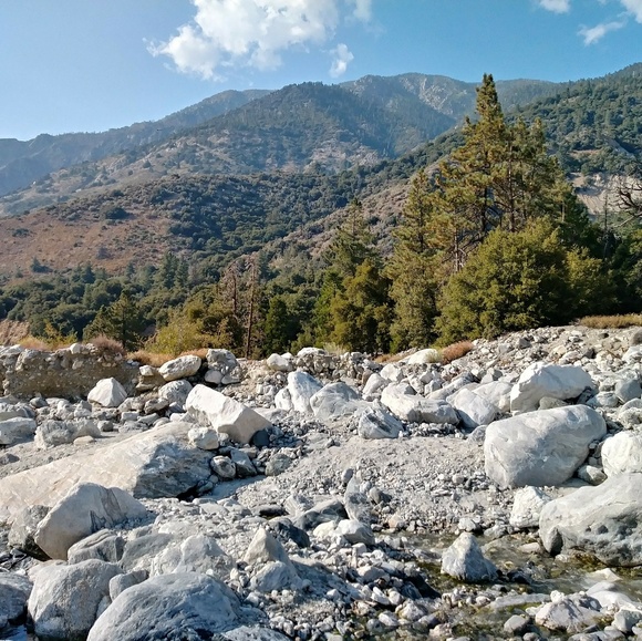 Meet your Posher, Stefanie - Picture 1 of 1